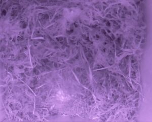 20230501-0430-nistkasten