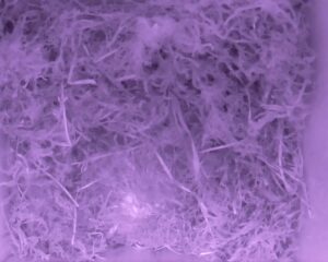 20230503-0230-nistkasten