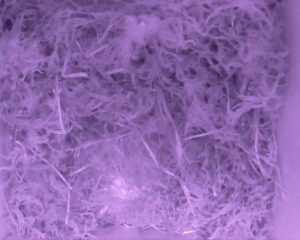 20230503-0430-nistkasten