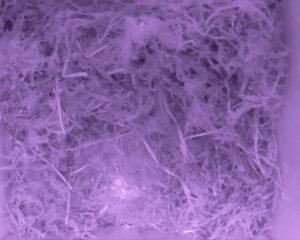 20230504-0030-nistkasten