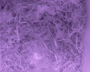 20230505-0030-nistkasten