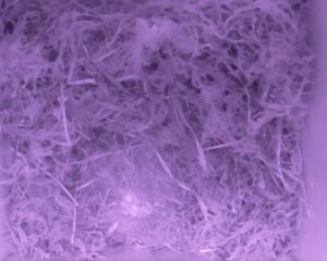 20230505-0230-nistkasten