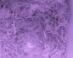 20230505-0330-nistkasten