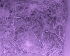 20230506-0330-nistkasten