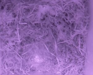20230508-0030-nistkasten