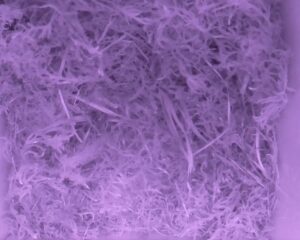 20230510-0130-nistkasten