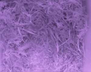 20230510-0330-nistkasten