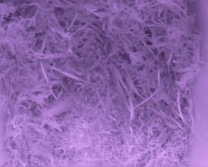 20230510-0530-nistkasten