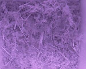 20230511-2230-nistkasten