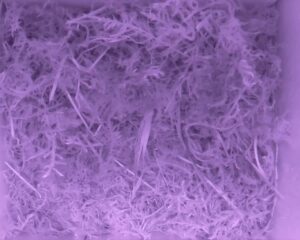 20230511-2330-nistkasten