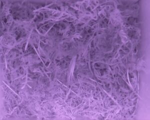 20230512-0030-nistkasten