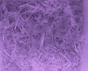 20230512-0130-nistkasten