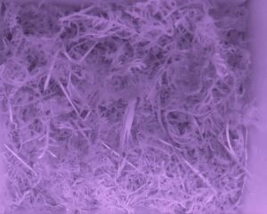 20230512-0230-nistkasten