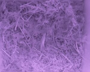 20230512-0530-nistkasten