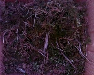 20230513-1330-nistkasten
