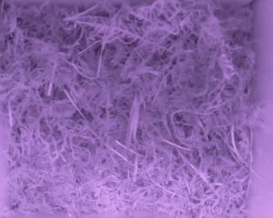 20230513-2330-nistkasten