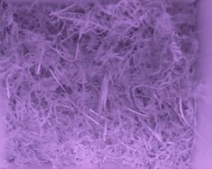 20230514-0430-nistkasten