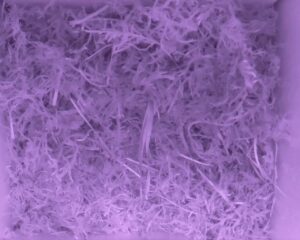 20230514-2230-nistkasten