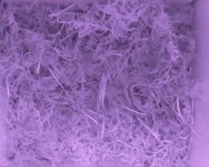 20230515-0130-nistkasten