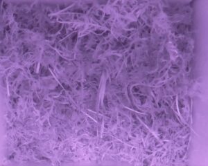 20230515-0230-nistkasten