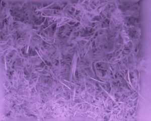20230515-0430-nistkasten