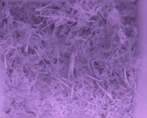 20230515-0530-nistkasten