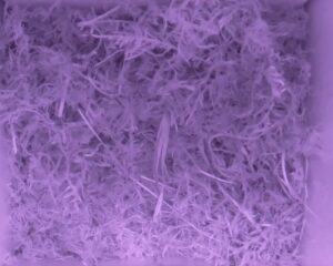 20230515-2230-nistkasten