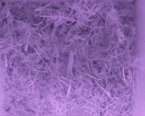 20230515-2330-nistkasten