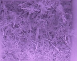 20230516-0030-nistkasten