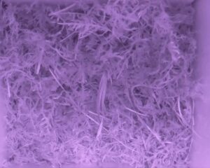 20230516-0130-nistkasten
