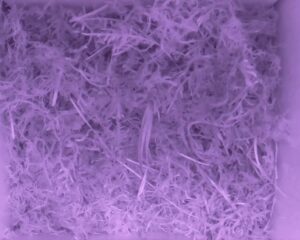 20230516-0230-nistkasten