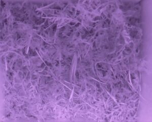 20230516-0430-nistkasten