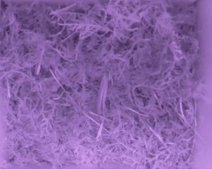 20230516-0530-nistkasten