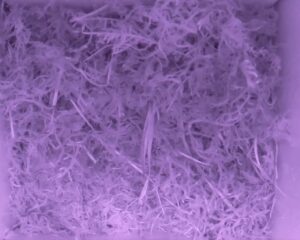 20230517-0230-nistkasten
