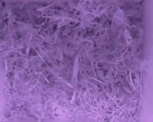 20230517-0330-nistkasten