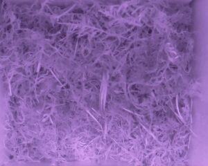20230517-2230-nistkasten