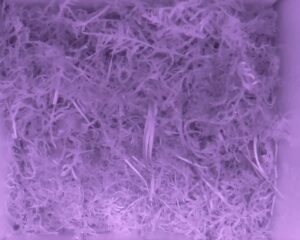 20230517-2330-nistkasten