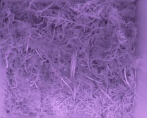 20230518-0030-nistkasten