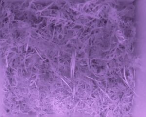 20230518-0130-nistkasten