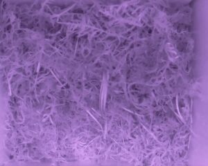 20230518-0230-nistkasten