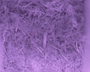 20230518-0530-nistkasten