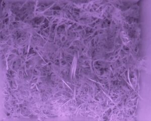 20230519-0130-nistkasten