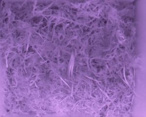 20230519-0230-nistkasten