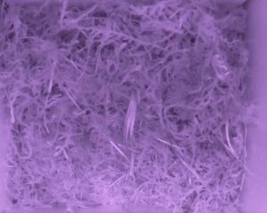 20230519-0330-nistkasten