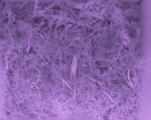 20230519-0430-nistkasten