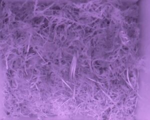 20230519-0530-nistkasten