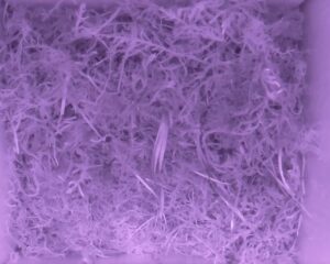 20230519-2130-nistkasten