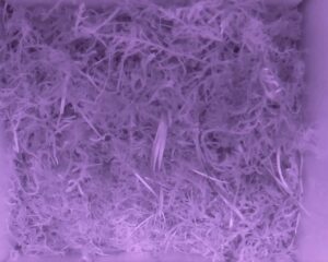 20230519-2230-nistkasten