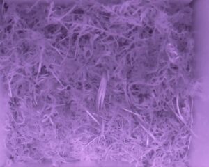 20230519-2330-nistkasten