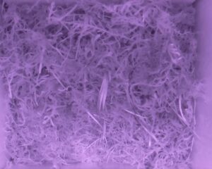 20230520-0030-nistkasten
